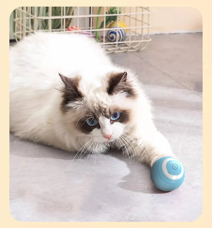 Cat Interactive Electric Automatic Rolling Ball